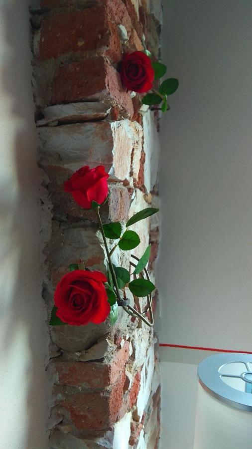 Le Rondini Di San Donato Bed & Breakfast Lucca Bagian luar foto