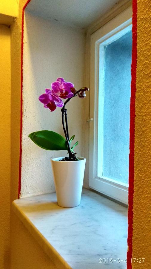Le Rondini Di San Donato Bed & Breakfast Lucca Bagian luar foto