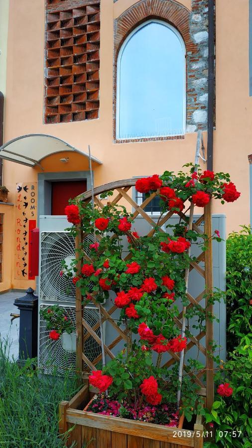 Le Rondini Di San Donato Bed & Breakfast Lucca Bagian luar foto