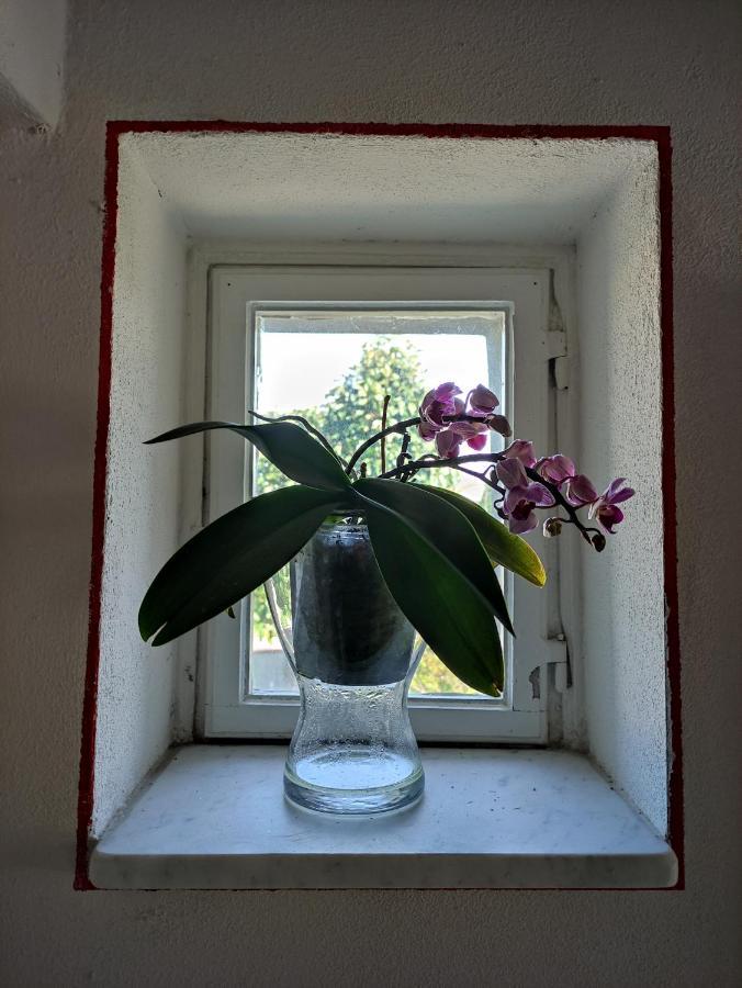 Le Rondini Di San Donato Bed & Breakfast Lucca Bagian luar foto