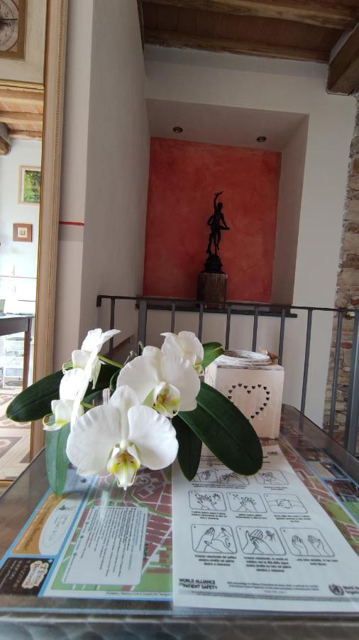Le Rondini Di San Donato Bed & Breakfast Lucca Bagian luar foto